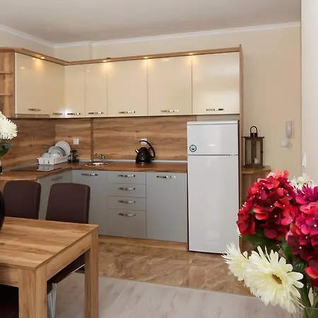 アパートホテル Sardinia And スヴェティ・ヴラス